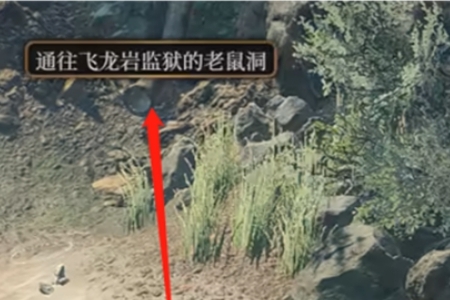 《博德之门3》飞龙监狱怎么去