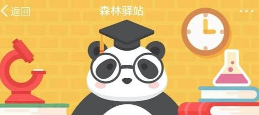 《微博》2月2日森林驿站最新答案