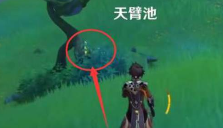 《原神》天臂池草神瞳怎么拿