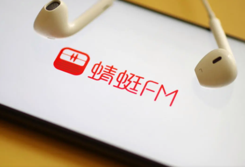 蜻蜓fm下载的文件怎样转成mp3的操作方法