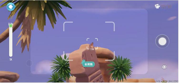 《心动小镇》长耳鸮观鸟时间地点详细一览