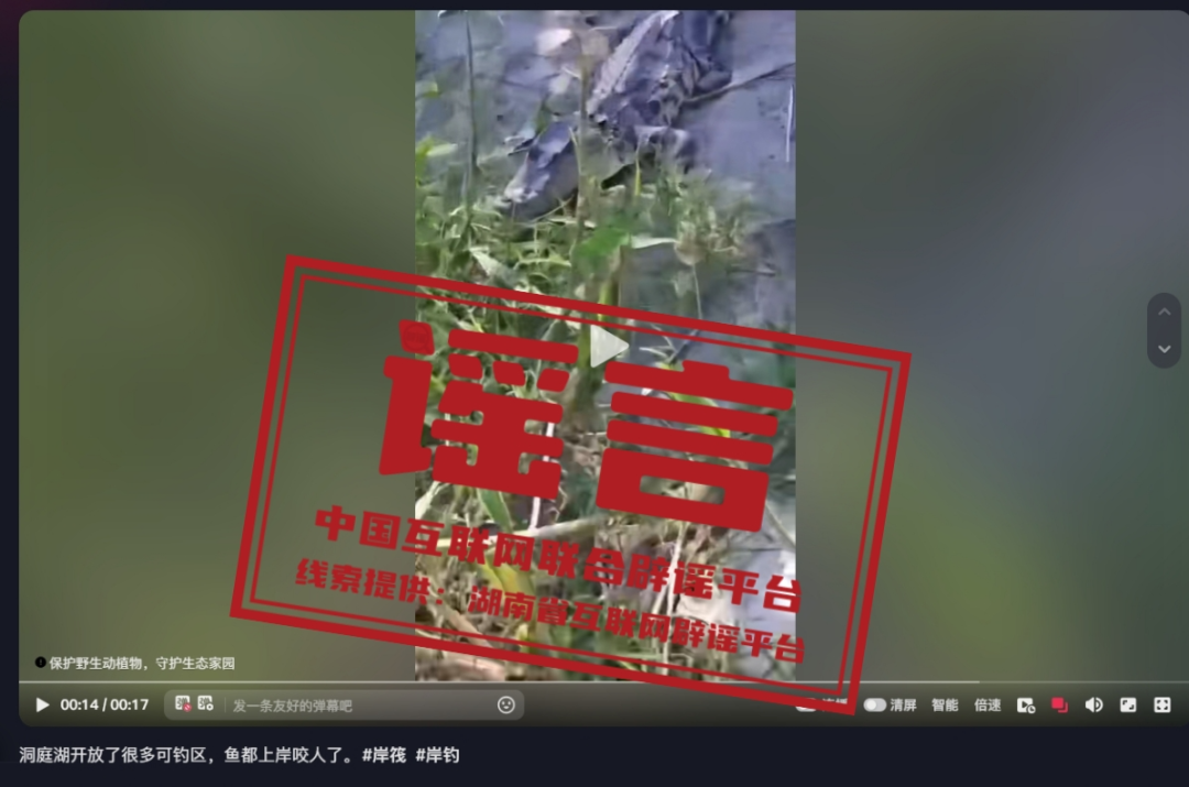 【2025-01-02】今日互联网辟谣一览，洞庭湖可钓区发现鳄鱼不实