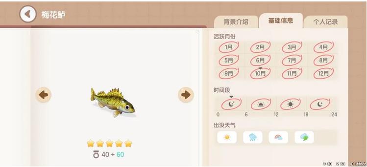 《心动小镇》梅花鲈获取时间地点