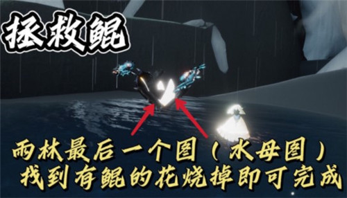 《光遇》12月6日任务怎么完成？